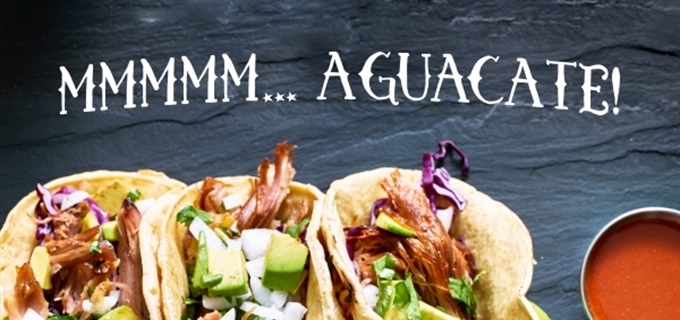 Infórmate acerca de los beneficios del aguacate en la salud