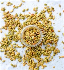 Chile Lime Seasoned Pepitas (Pumpkin Seeds)